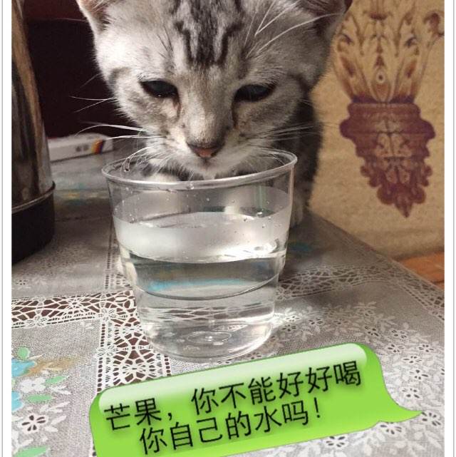 办理越南护照